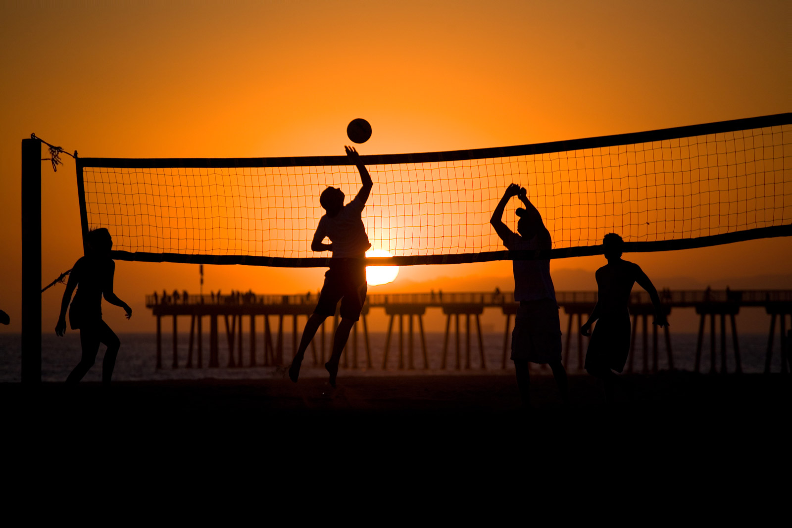 Hermosa Beach Evelyne Ouellet Homes & Lifestyle